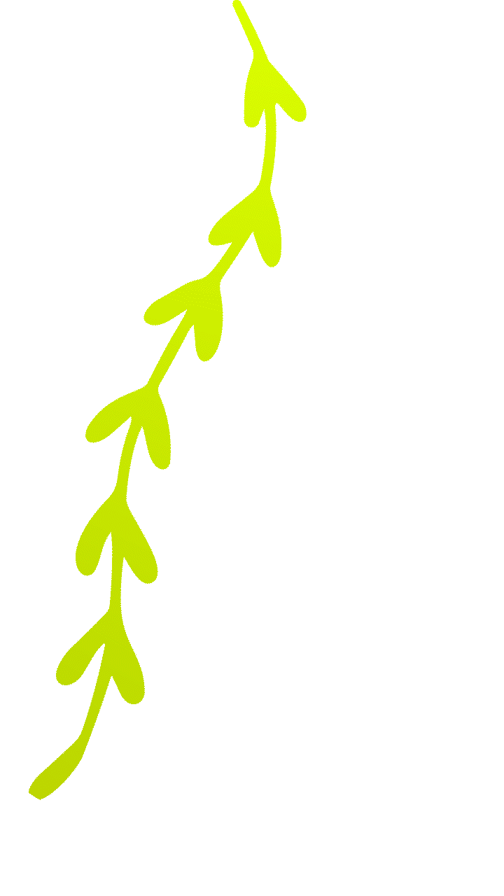 Green swinging vine 